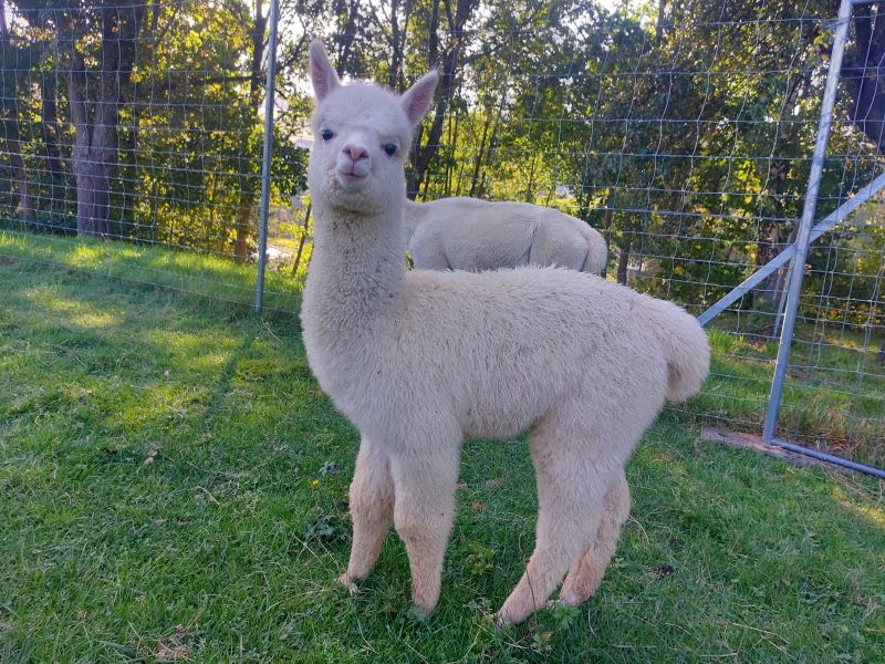 88_843b19eb-e891-427e-aaf4-63da658797ad